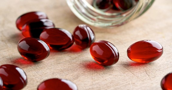 benefits of krill oil