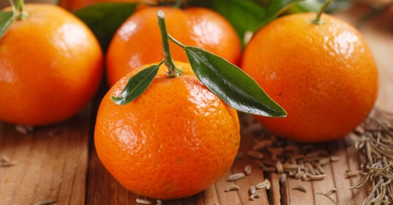 Clementine Orange 