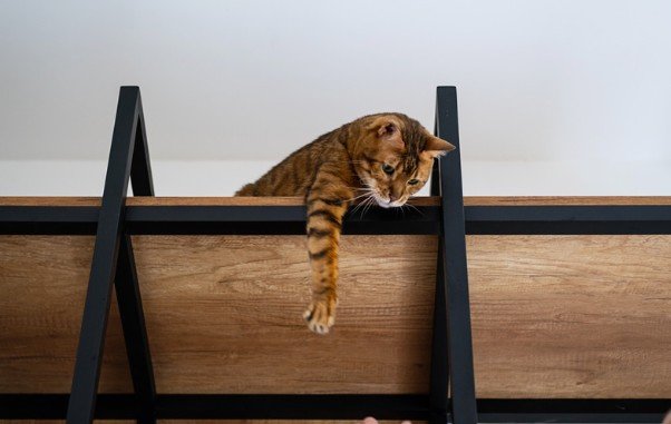 Choose Furniture Materials Carefully