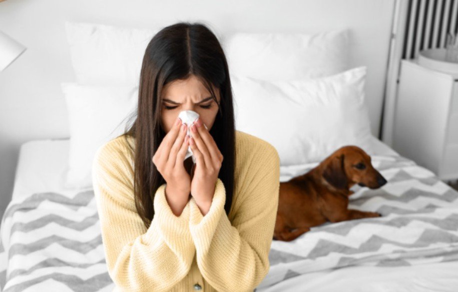 How to Reduce Allergens in the Bedroom for Better Sleep