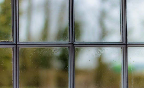 Measure Indoor Humidity Before Making Changes
